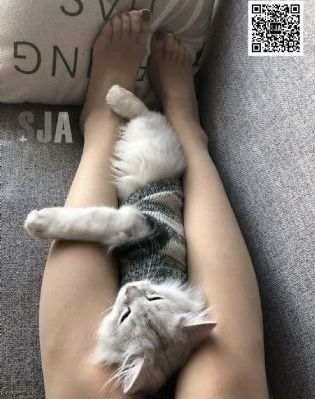 一级大片免费看_无删减在线播放