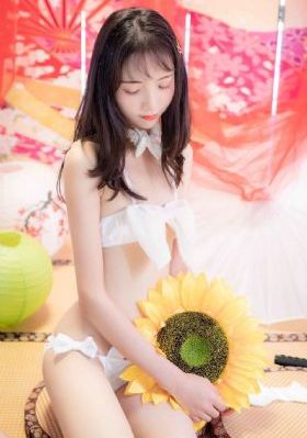 珠帘玉幕电视剧_蓝光免费观看超清